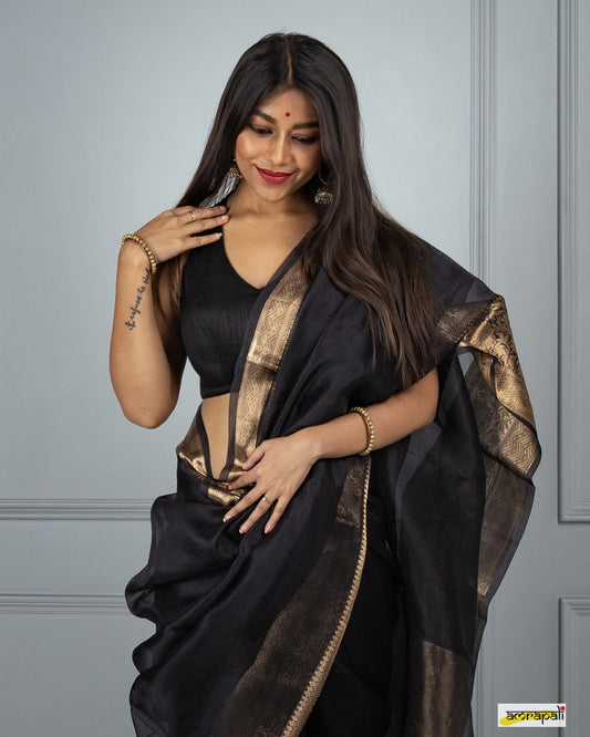 Black Kora Organza Noor soft silk - AbirabyBeena