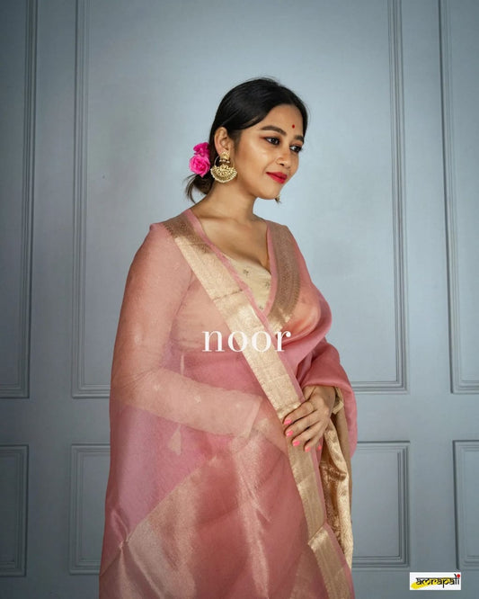 Peach Kora Organza Noor soft silk - AbirabyBeena