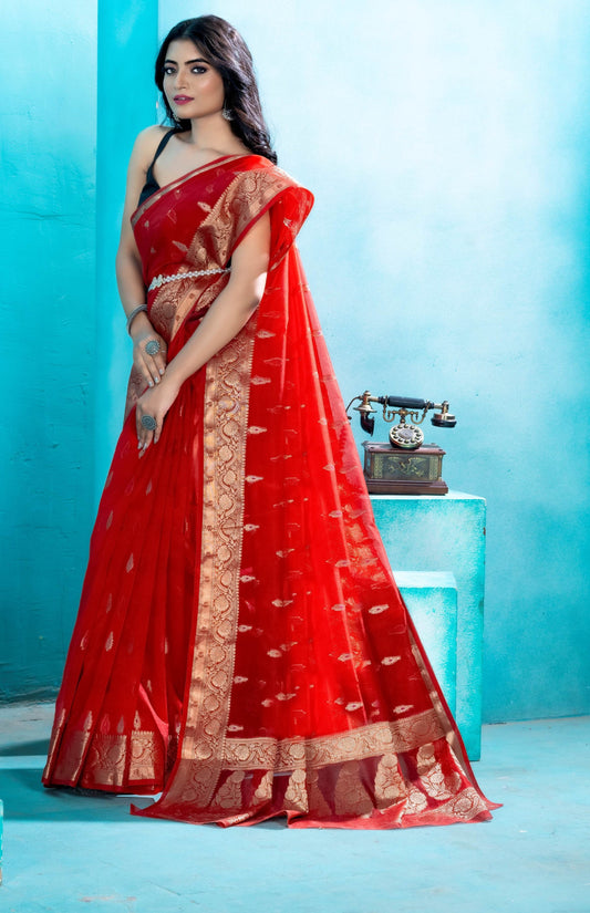 Red Organza soft silk - Mina