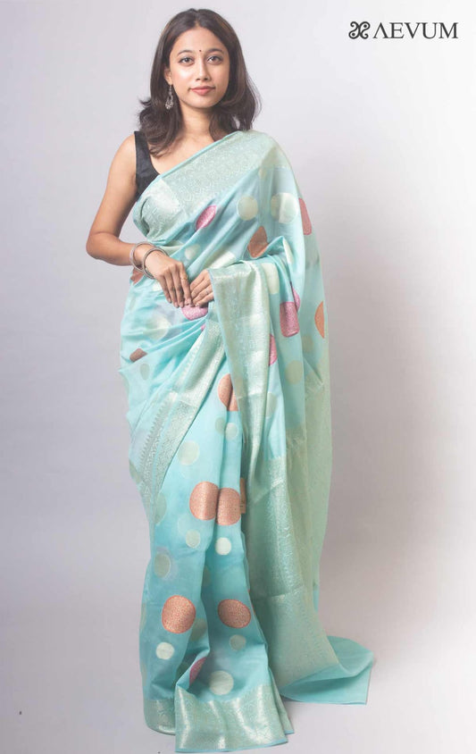 Sky Blue Georgette silk Saree-Mona