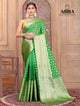 Parrot Green Shaded soft Georgette silk - AbirabyBeena