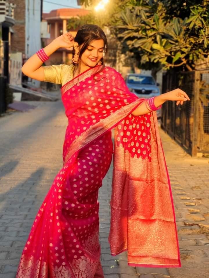 Pink Banaras Soft Georgette Silk - AbirabyBeena