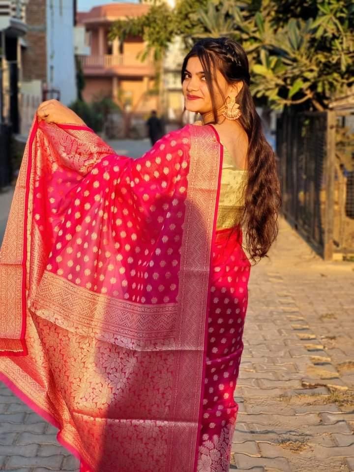 Pink Banaras Soft Georgette Silk - AbirabyBeena