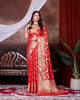 Red Jaal Katan Georgette Silk - AbirabyBeena