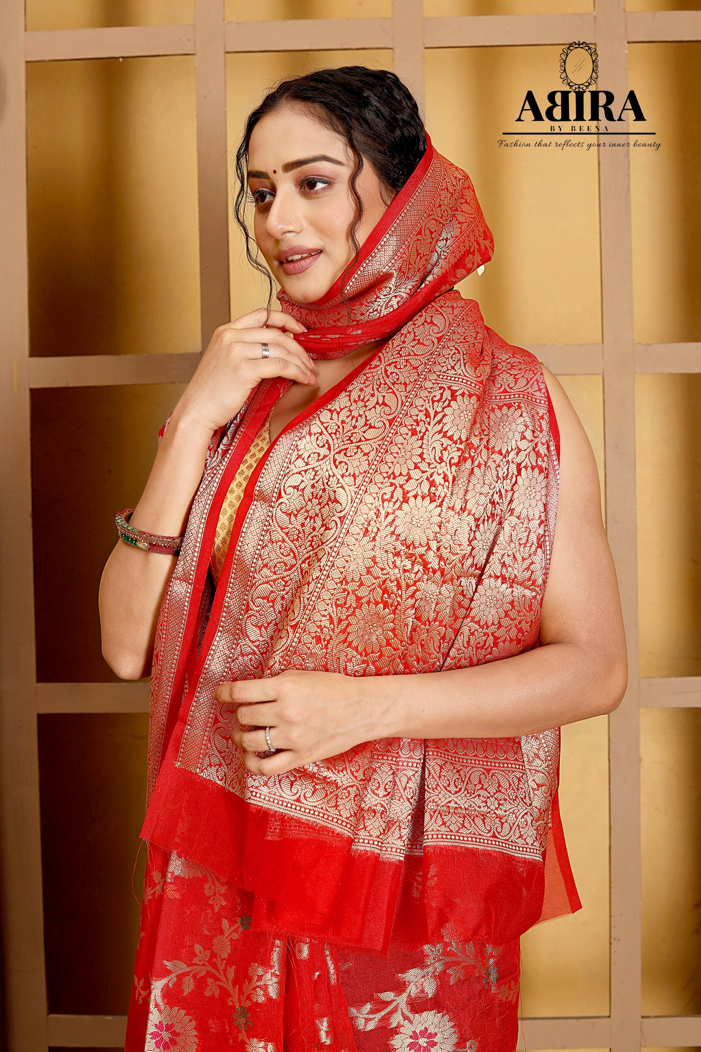 Red Banaras Soft Georgette Jaal silk