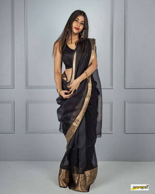 Black Kora Organza Noor soft silk - AbirabyBeena