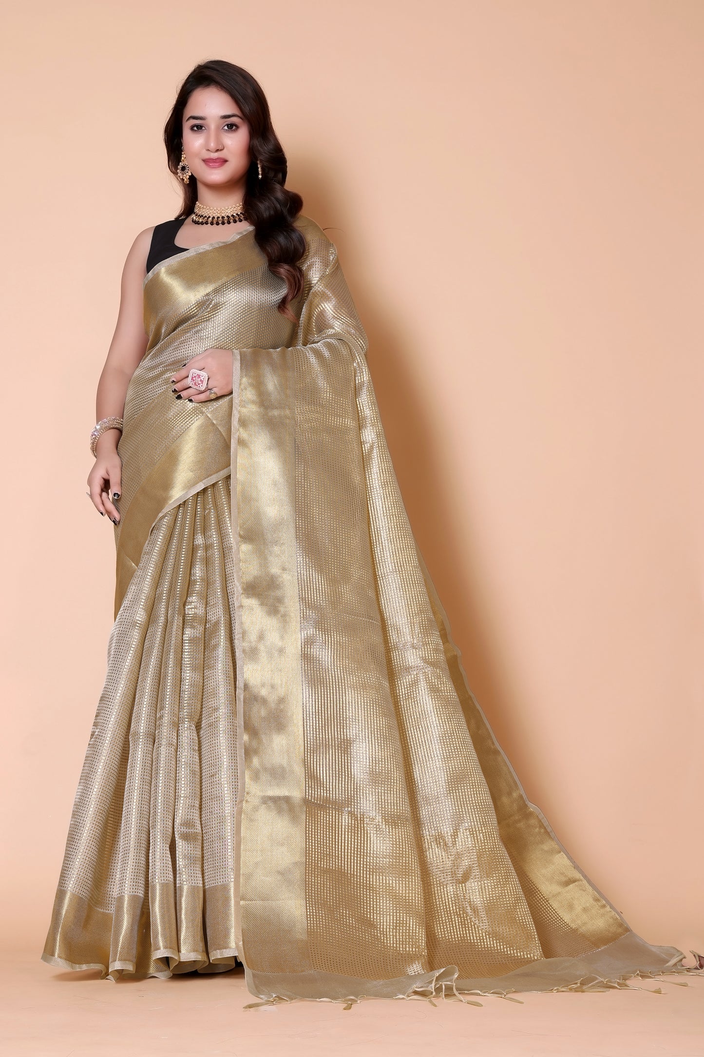 Nayantara Banarasi tissue Silk Saree checks