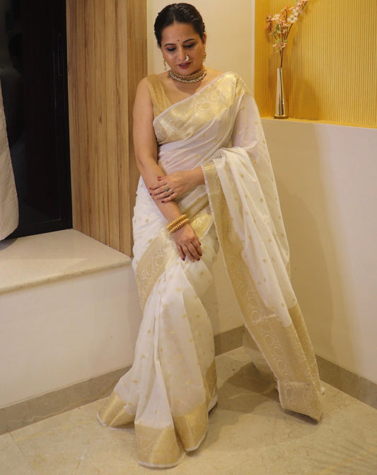 White Banaras Soft Georgette silk - AbirabyBeena