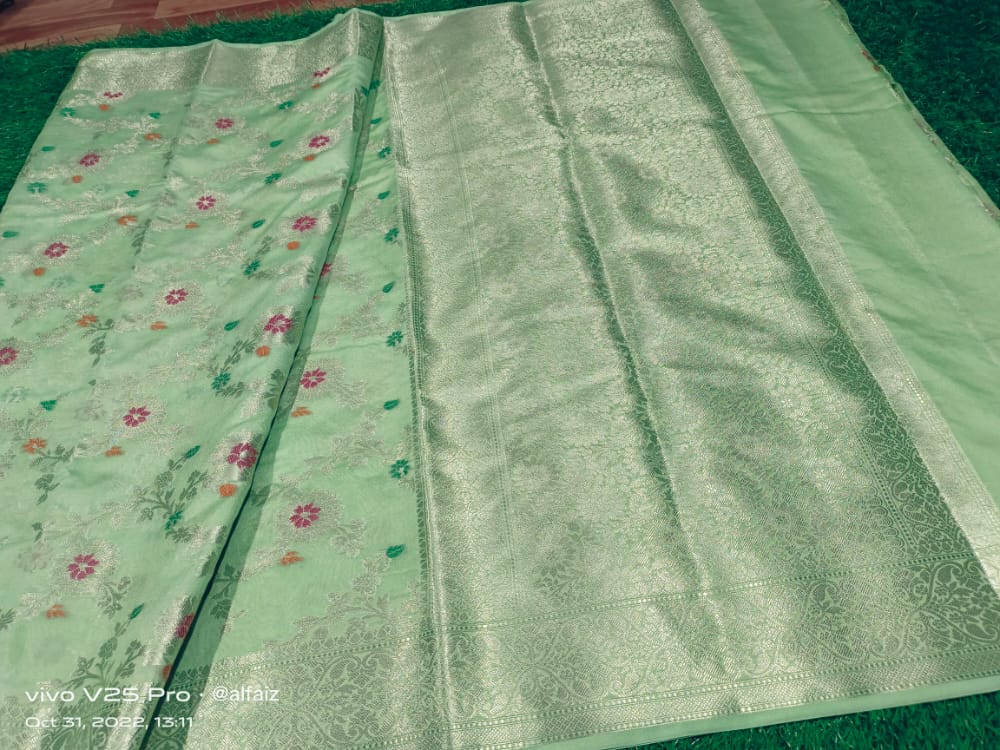 Light Pista green Banaras Soft Georgette Jaal silk