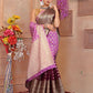 Purple Shaded soft Georgette silk - AbirabyBeena