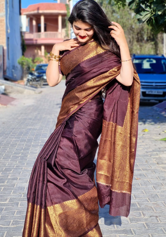 Brown Skirt Border Banaras warm silk