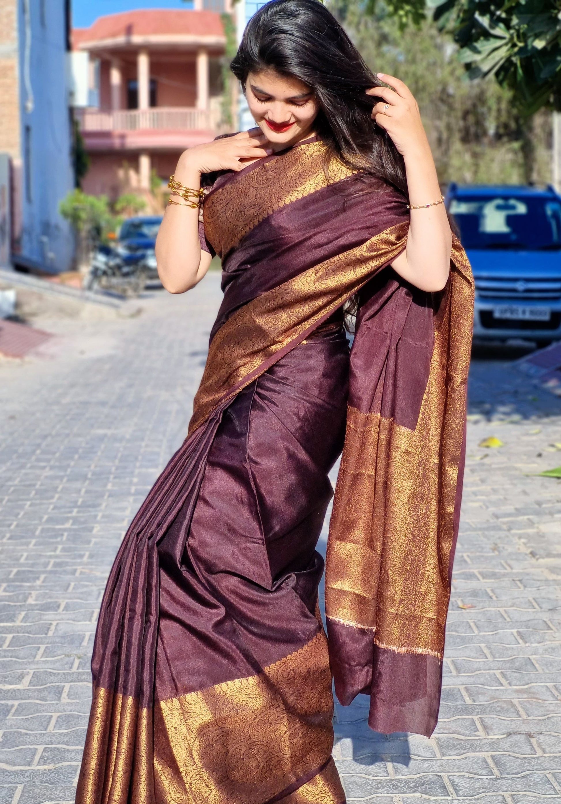 Brown Skirt Border Banaras warm silk - AbirabyBeena