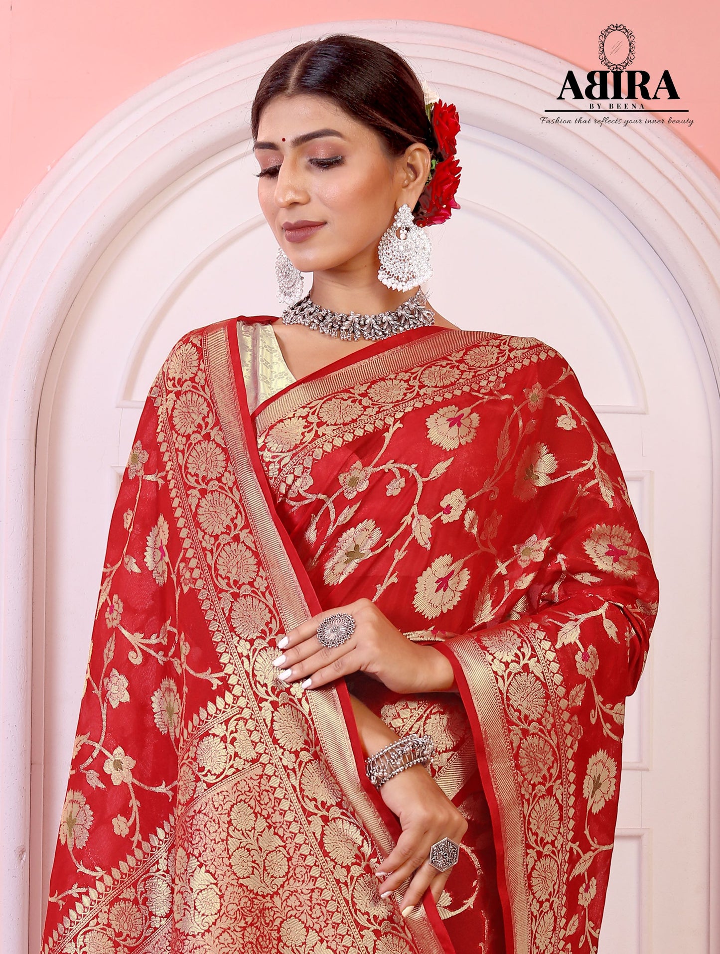 Red Banaras Soft Georgette Jaal silk - AbirabyBeena
