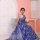 Blue Banaras Soft Georgette Jaal silk - AbirabyBeena