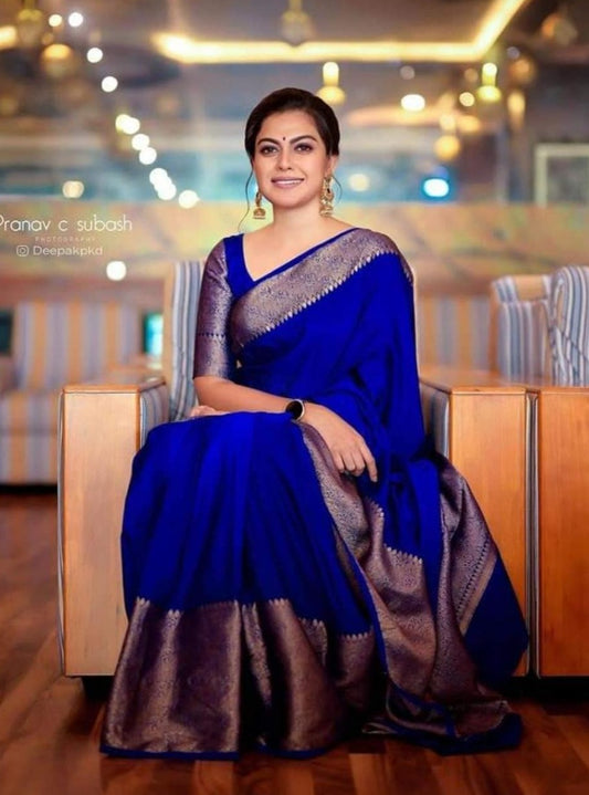 Royal Blue Skirt Border Banaras warm silk - AbirabyBeena