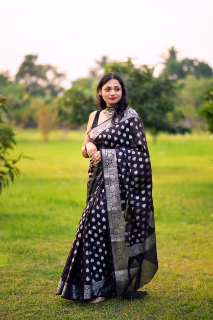 Black Banaras Soft Georgette silk