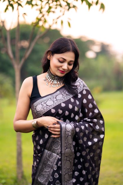 Black Banaras Soft Georgette silk - AbirabyBeena