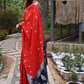 Red Soft khaddi Chiffon Handloom - AbirabyBeena