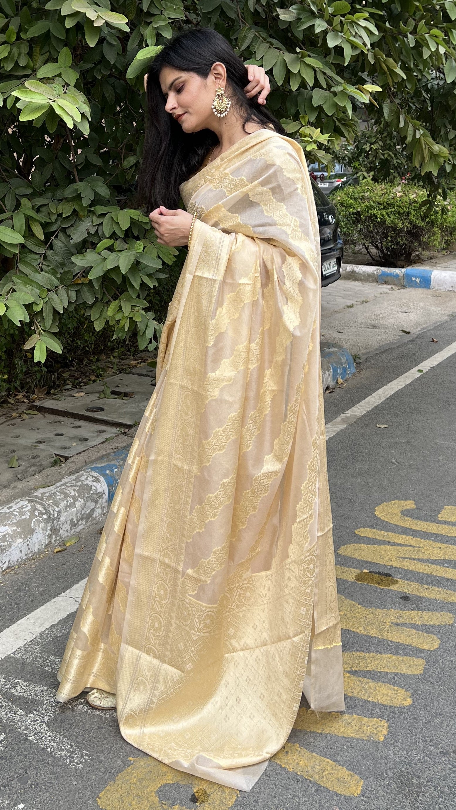 Pastel Tusar Banaras Soft Georgette silk - AbirabyBeena