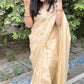 Pastel Tusar Banaras Soft Georgette silk - AbirabyBeena