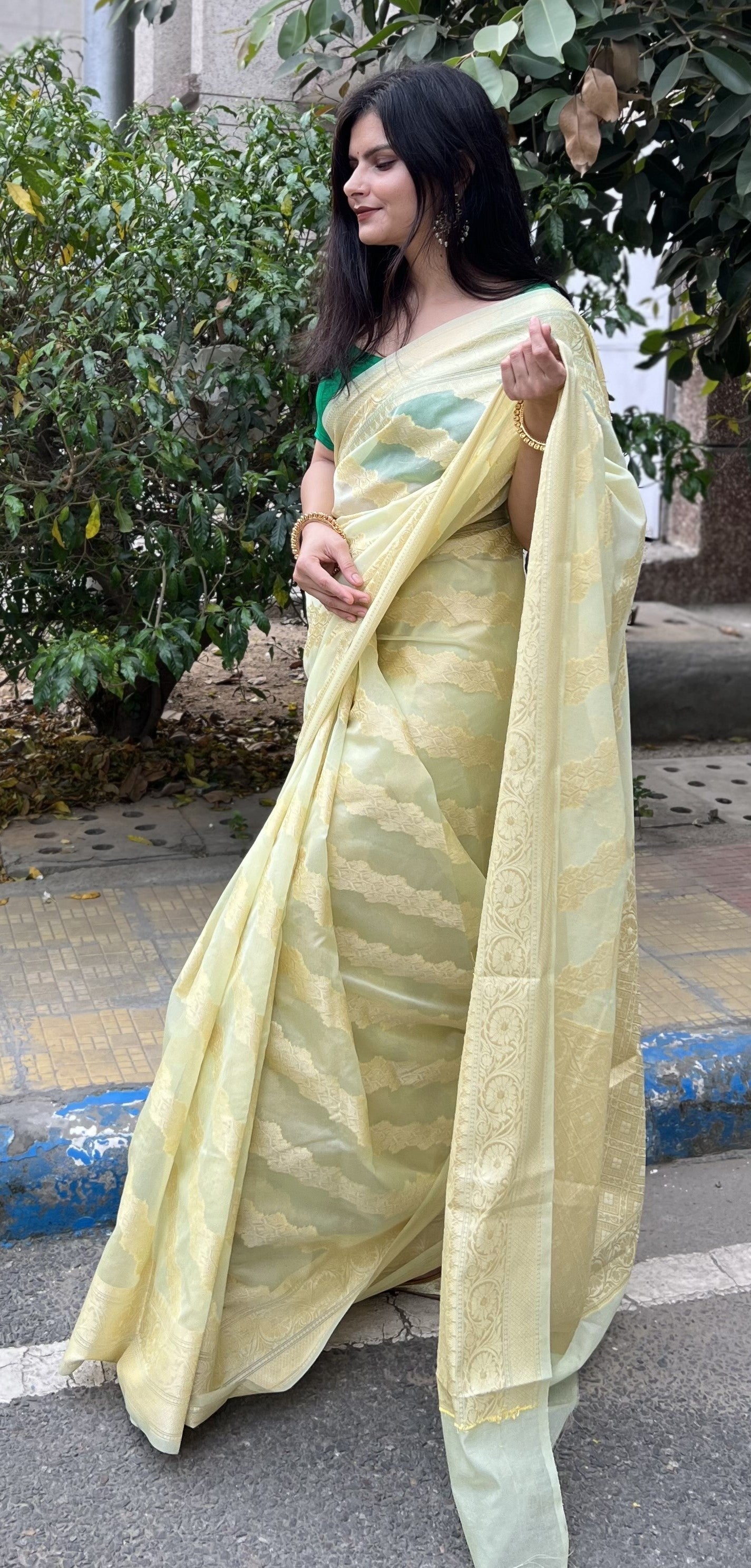 Pastel Pista Green Banaras Soft Georgette silk - AbirabyBeena
