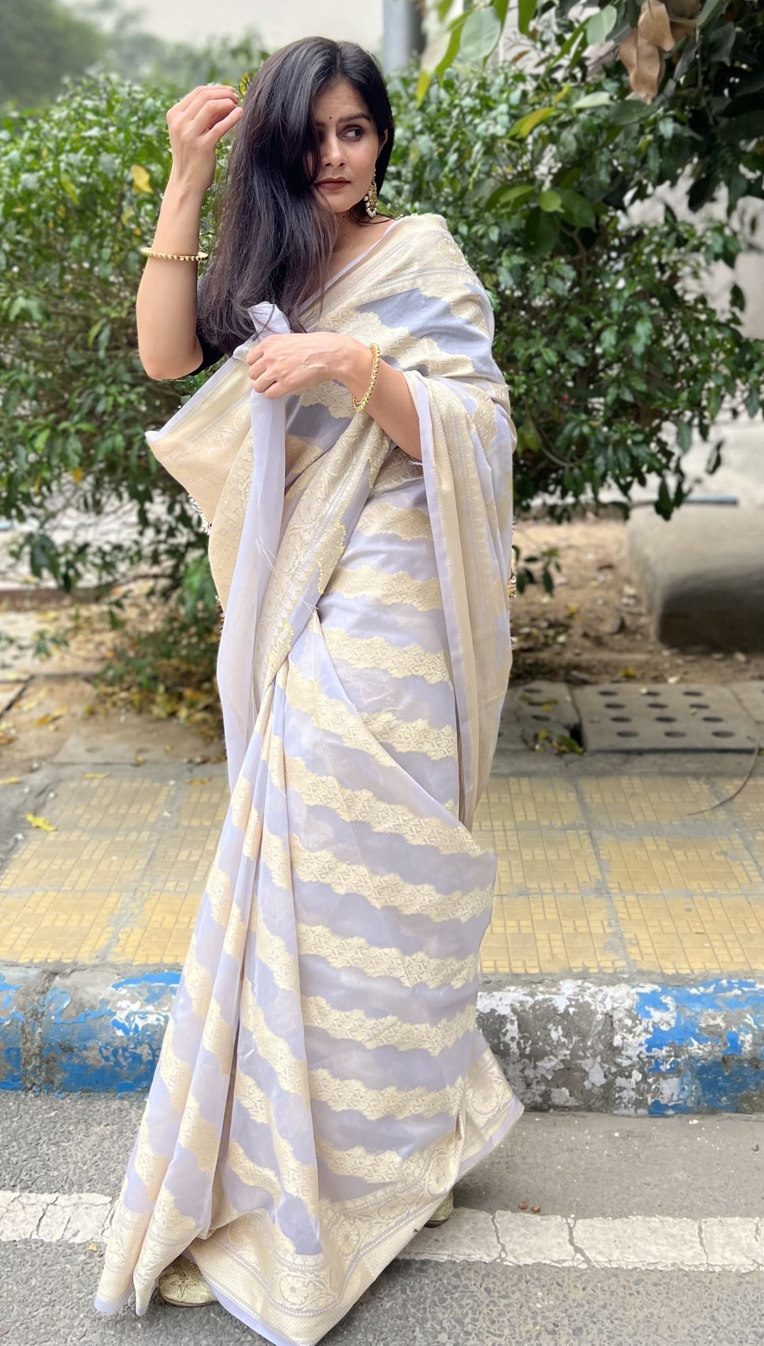 Pastel grey Banaras Soft Georgette silk - AbirabyBeena
